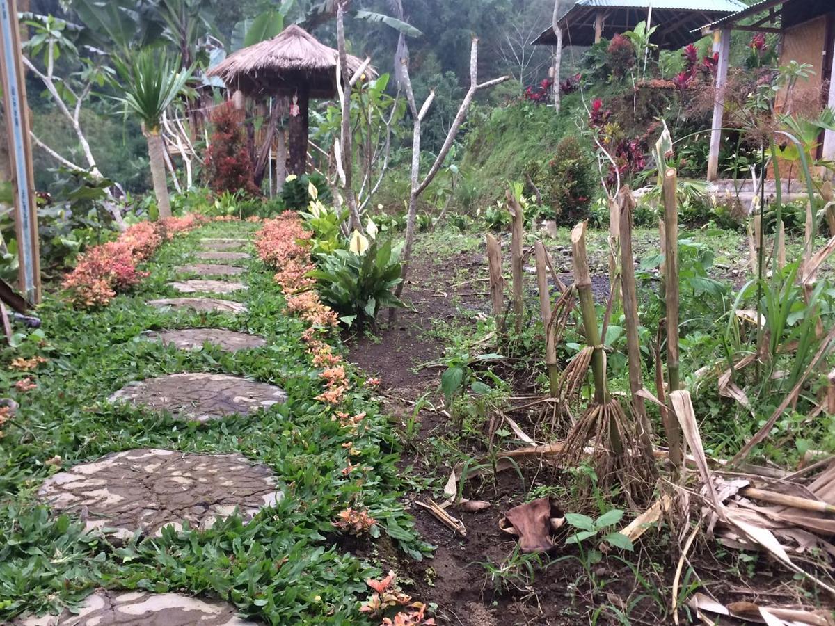 דירות בדוגול Bali Tree House Pelangi מראה חיצוני תמונה