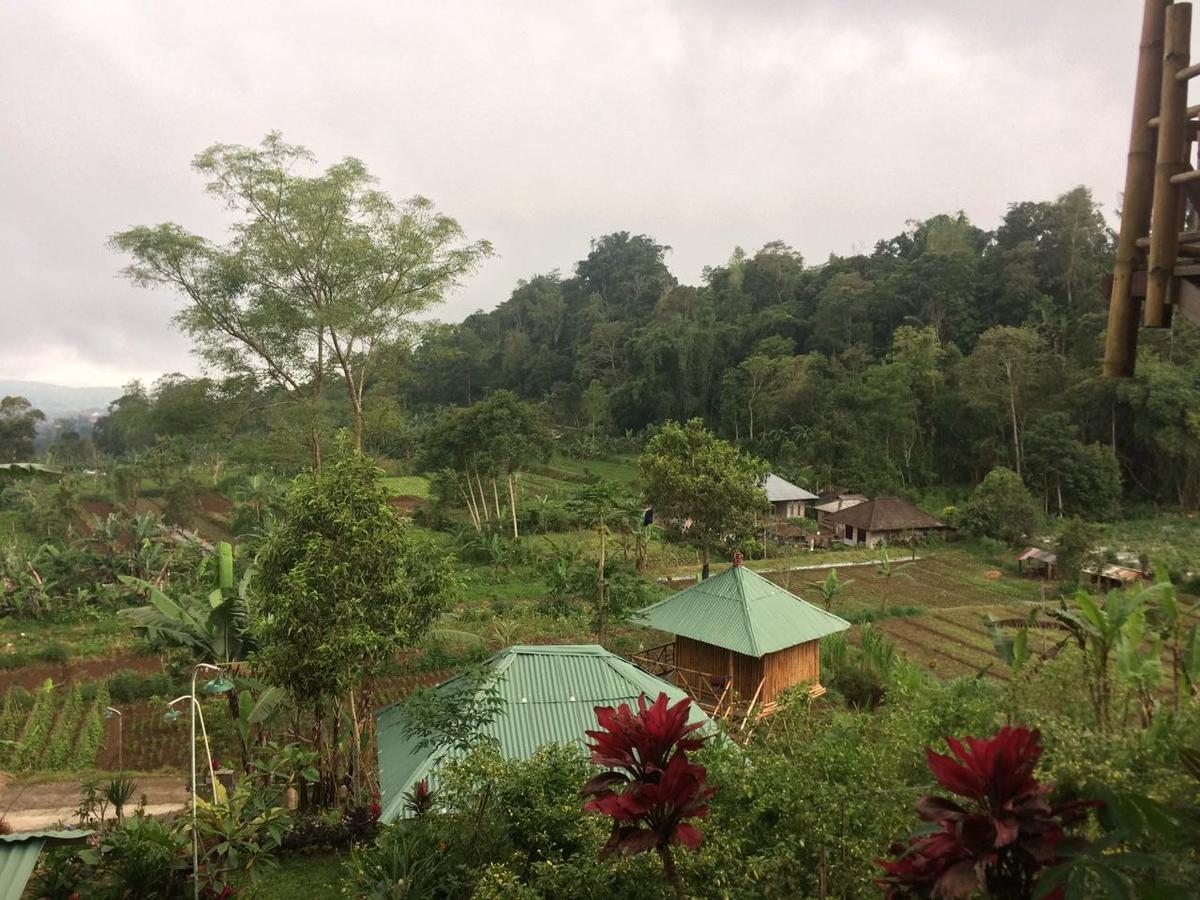 דירות בדוגול Bali Tree House Pelangi מראה חיצוני תמונה