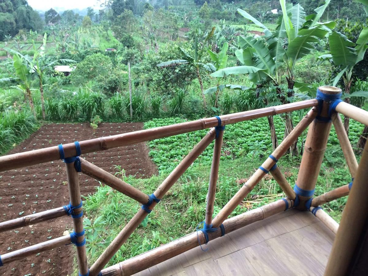 דירות בדוגול Bali Tree House Pelangi מראה חיצוני תמונה