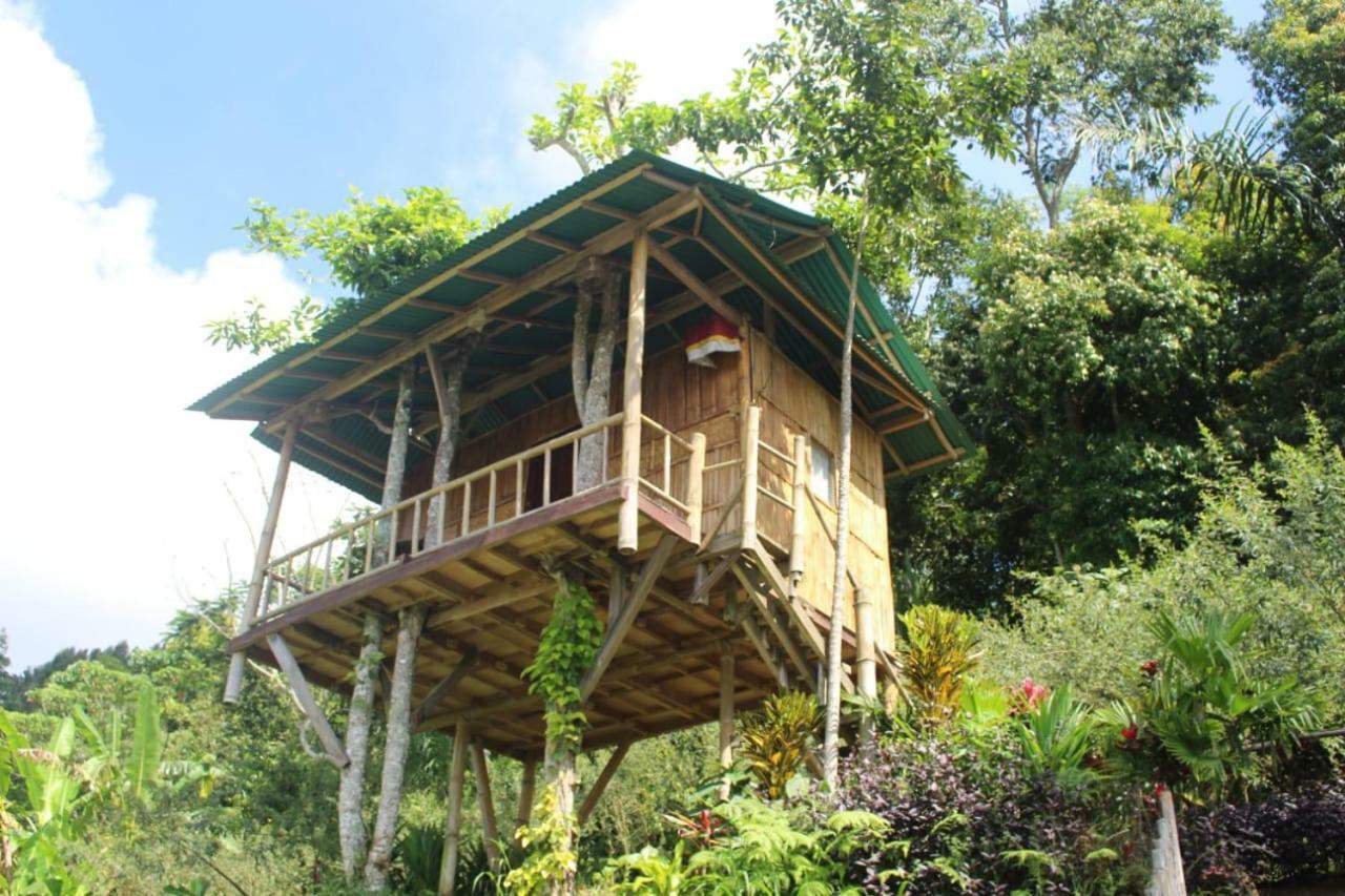 דירות בדוגול Bali Tree House Pelangi מראה חיצוני תמונה