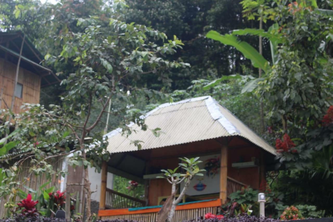 דירות בדוגול Bali Tree House Pelangi מראה חיצוני תמונה
