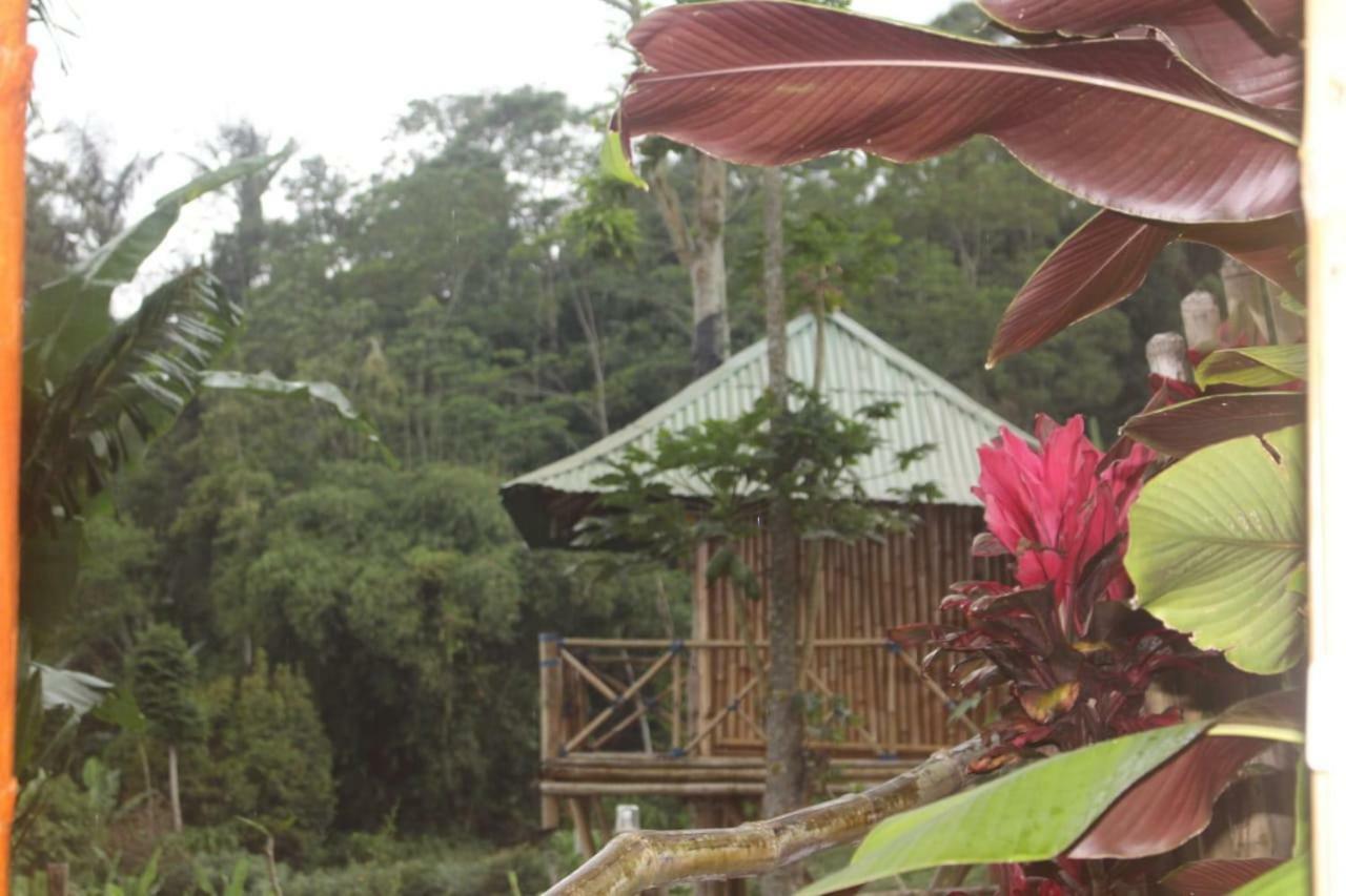 דירות בדוגול Bali Tree House Pelangi מראה חיצוני תמונה