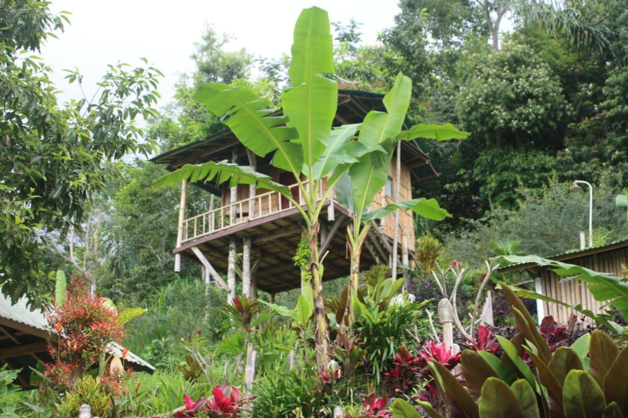 דירות בדוגול Bali Tree House Pelangi מראה חיצוני תמונה