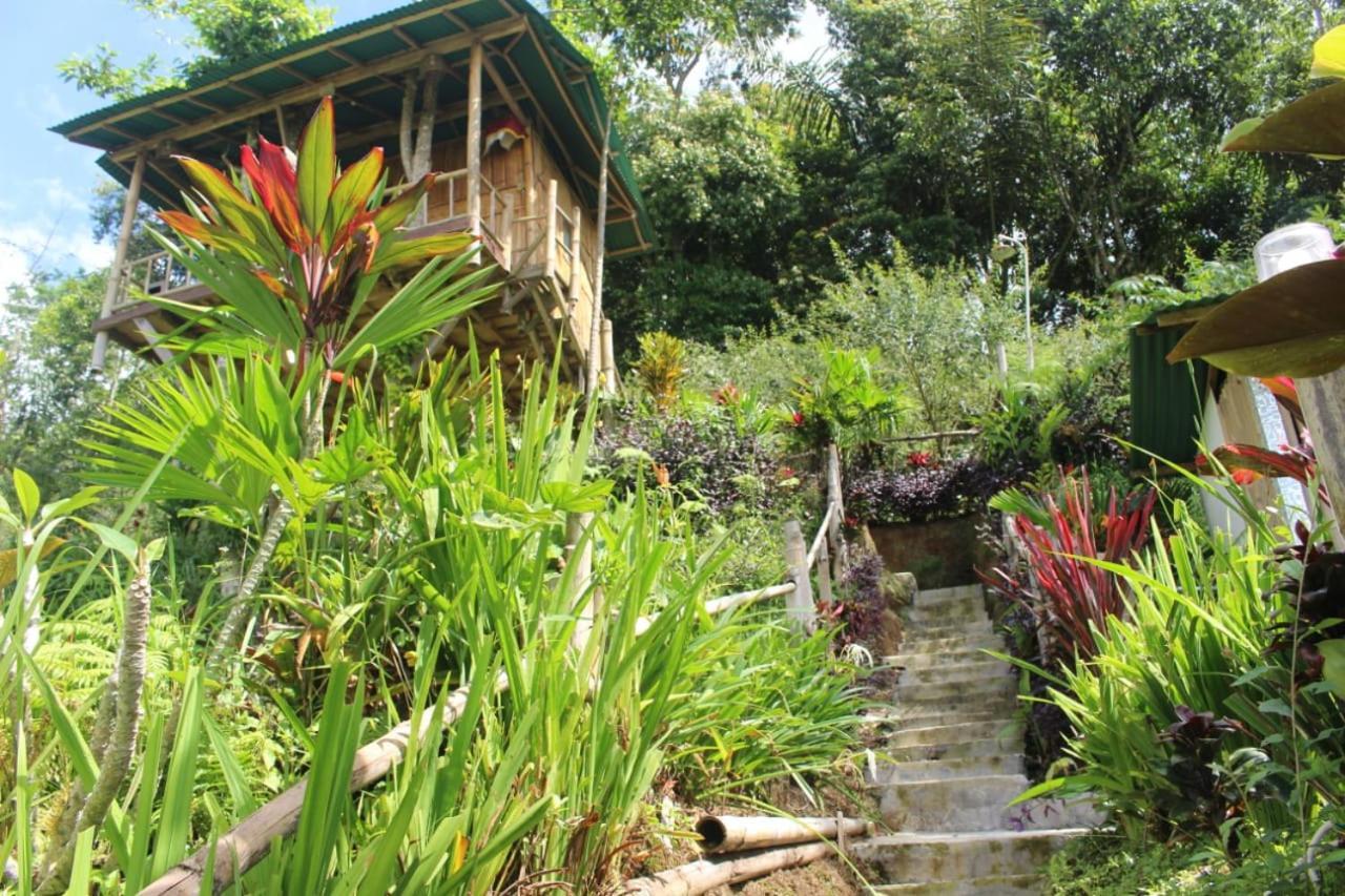 דירות בדוגול Bali Tree House Pelangi מראה חיצוני תמונה
