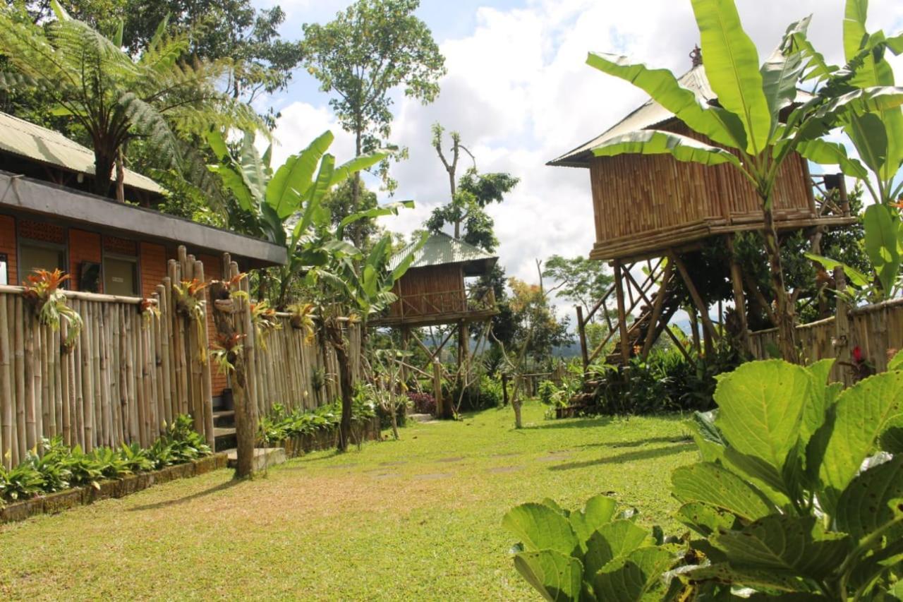 דירות בדוגול Bali Tree House Pelangi מראה חיצוני תמונה