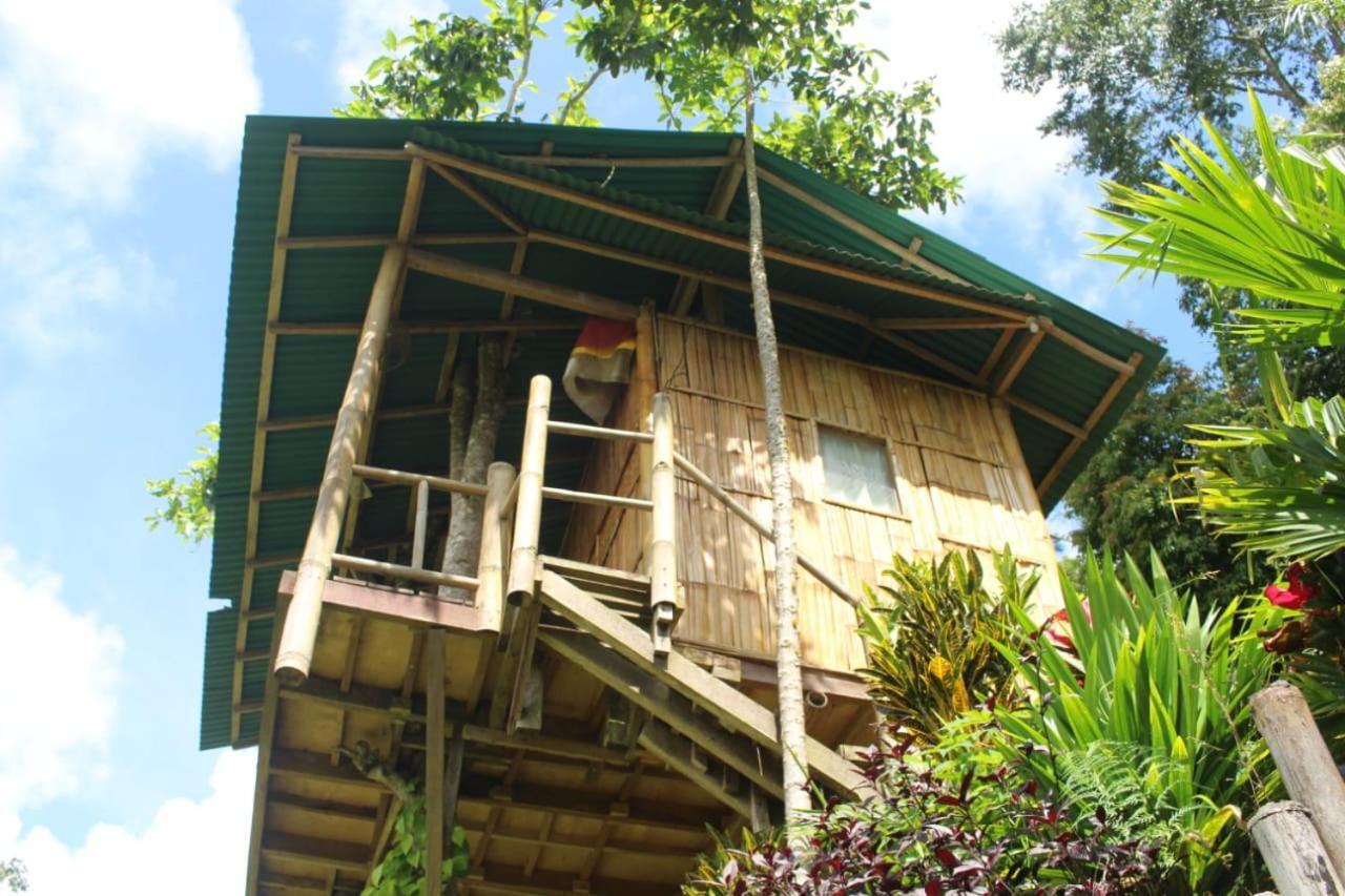 דירות בדוגול Bali Tree House Pelangi מראה חיצוני תמונה