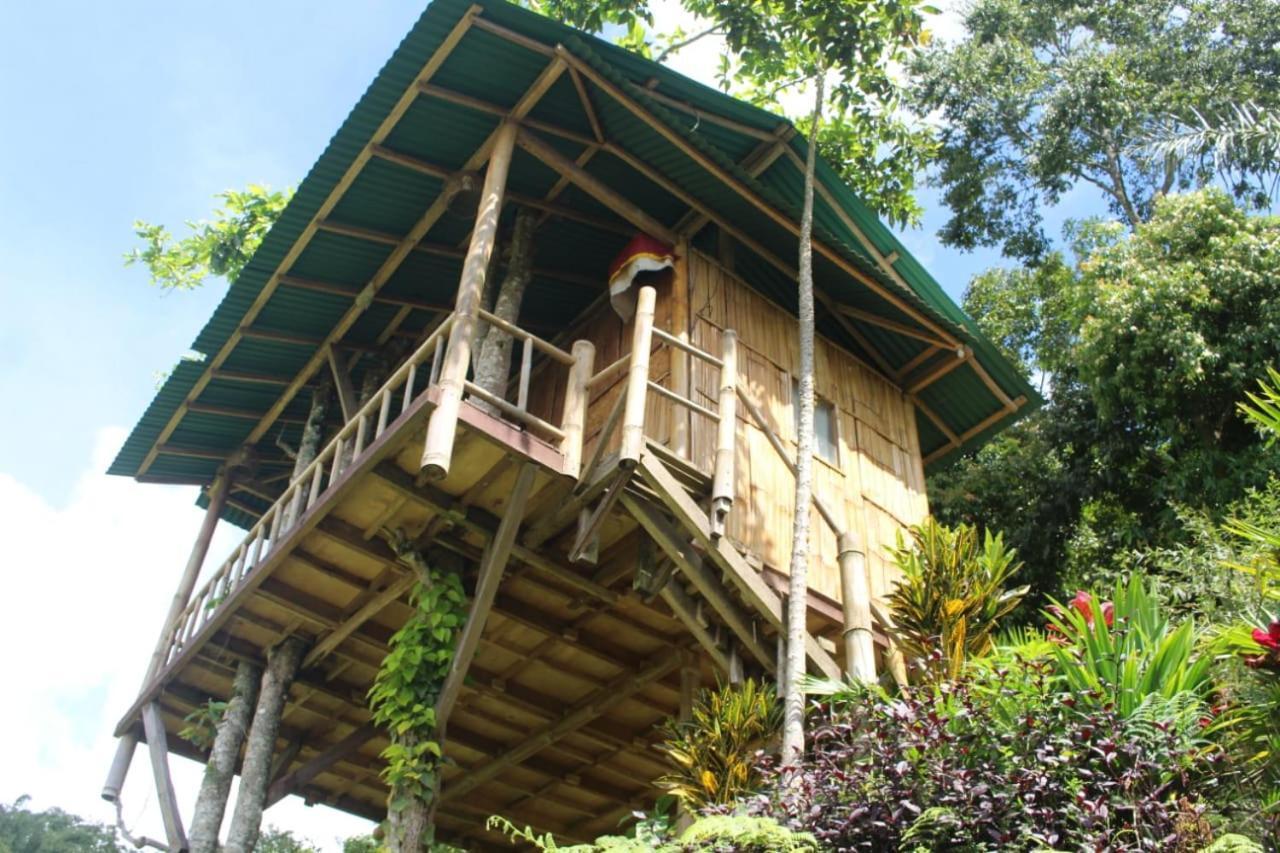 דירות בדוגול Bali Tree House Pelangi מראה חיצוני תמונה